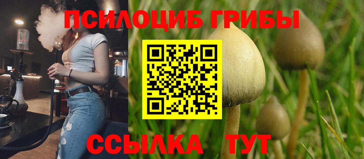 Галлюциногенные грибы Cubensis Отрадное